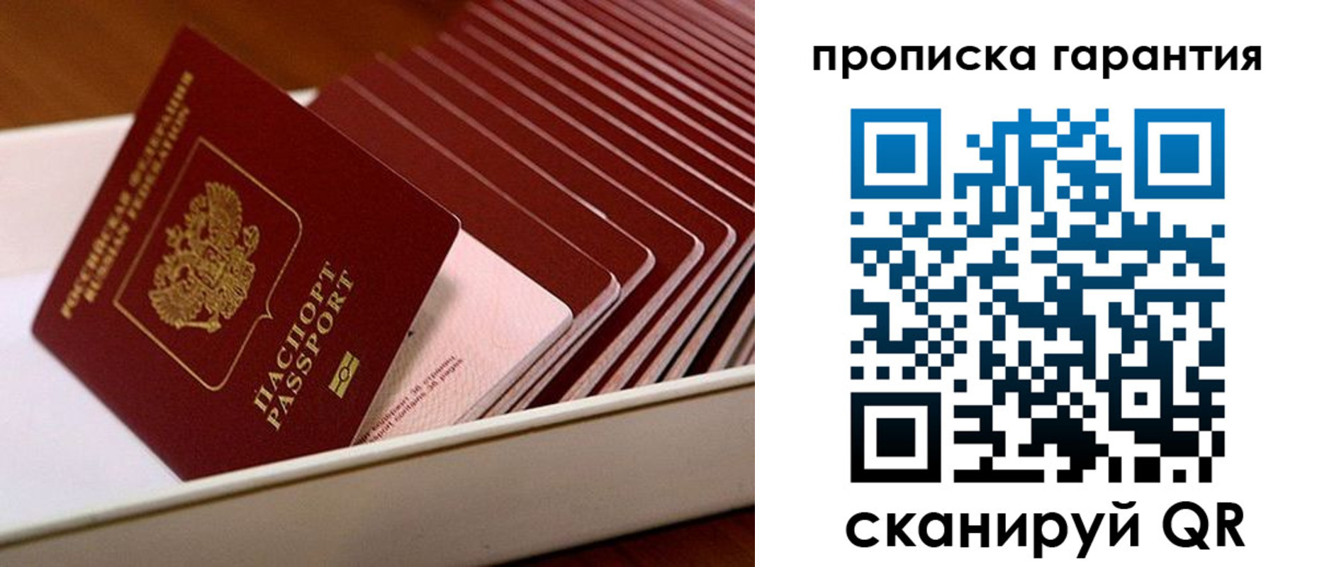 прописка поиск в Плавске